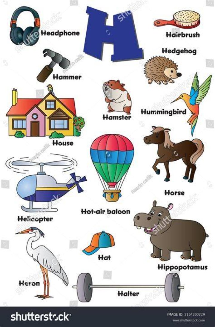 What are objects that start with H?