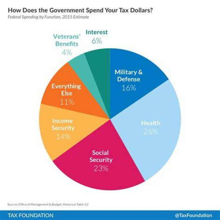 What does the government do with your taxes?
