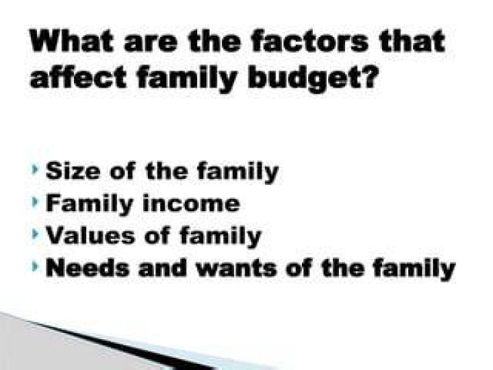 What factors affect family budget?