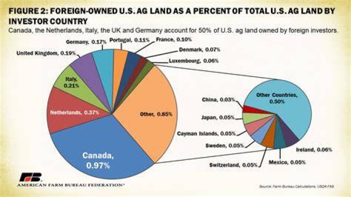 What percentage of America is owned by foreigners?